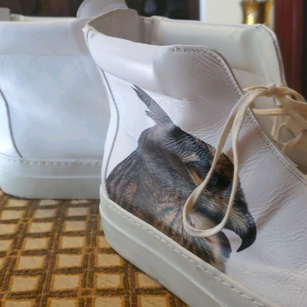 Shoe